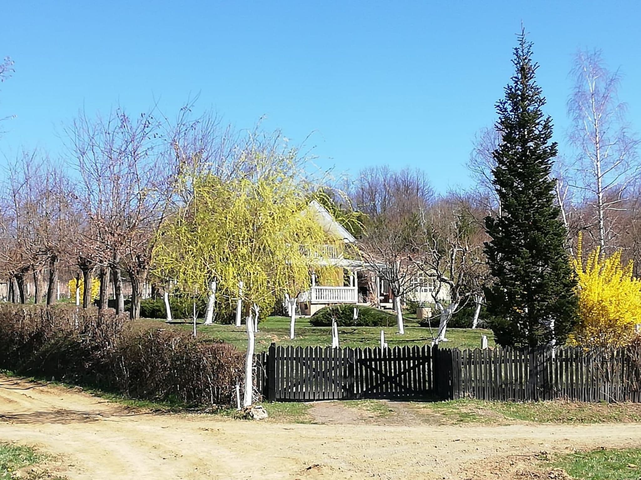 Gallery Image 14