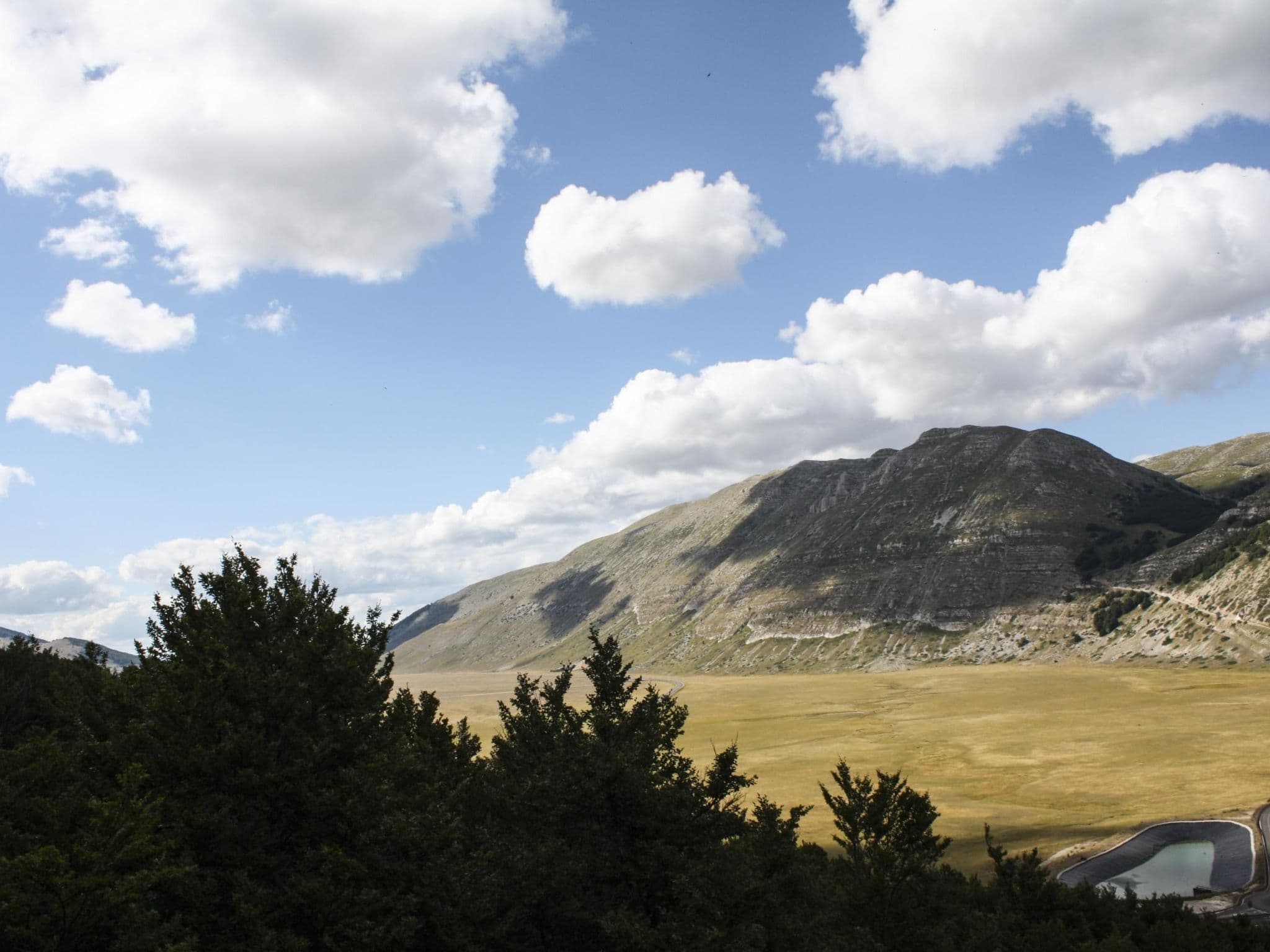 View
