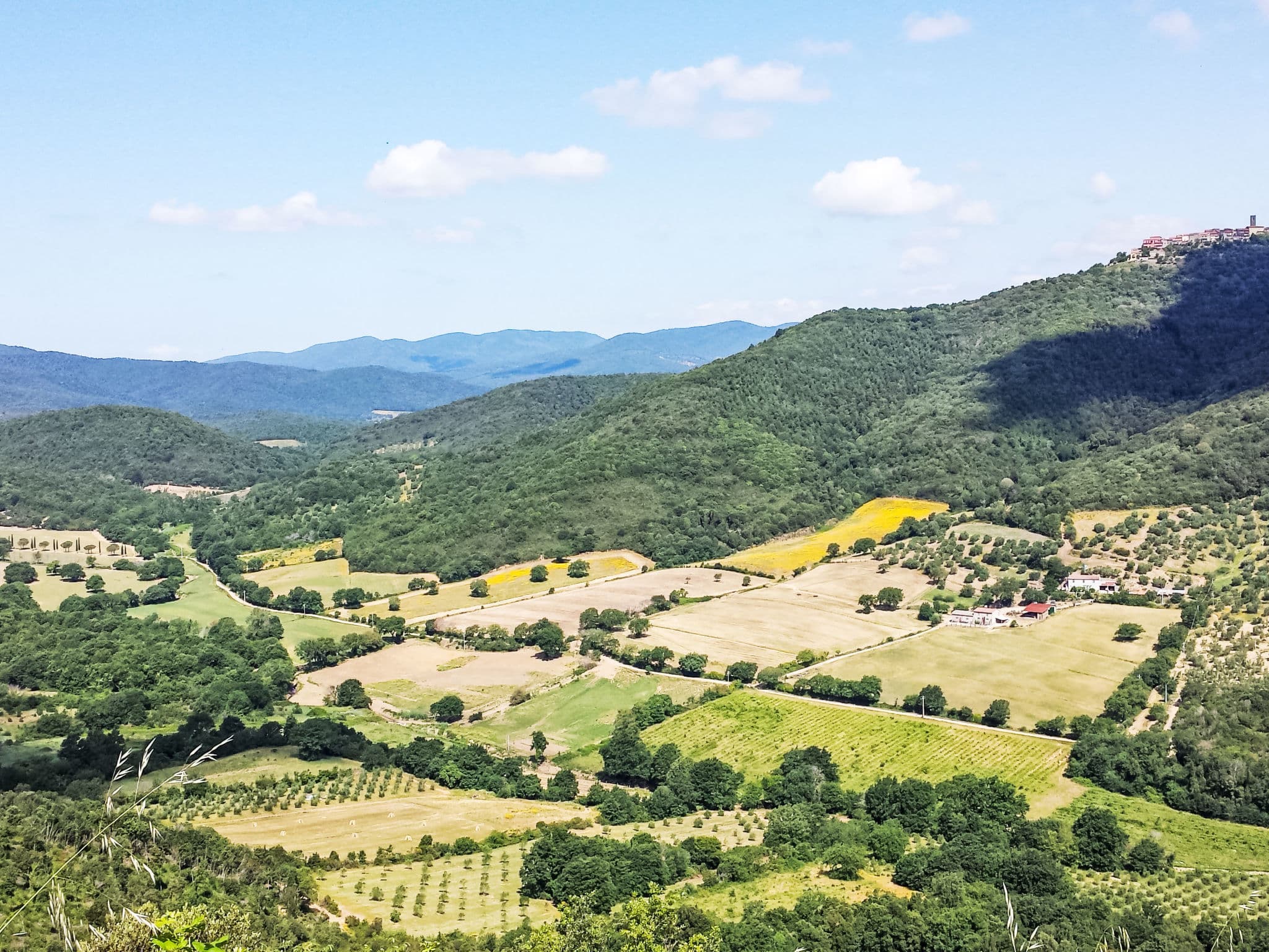 View