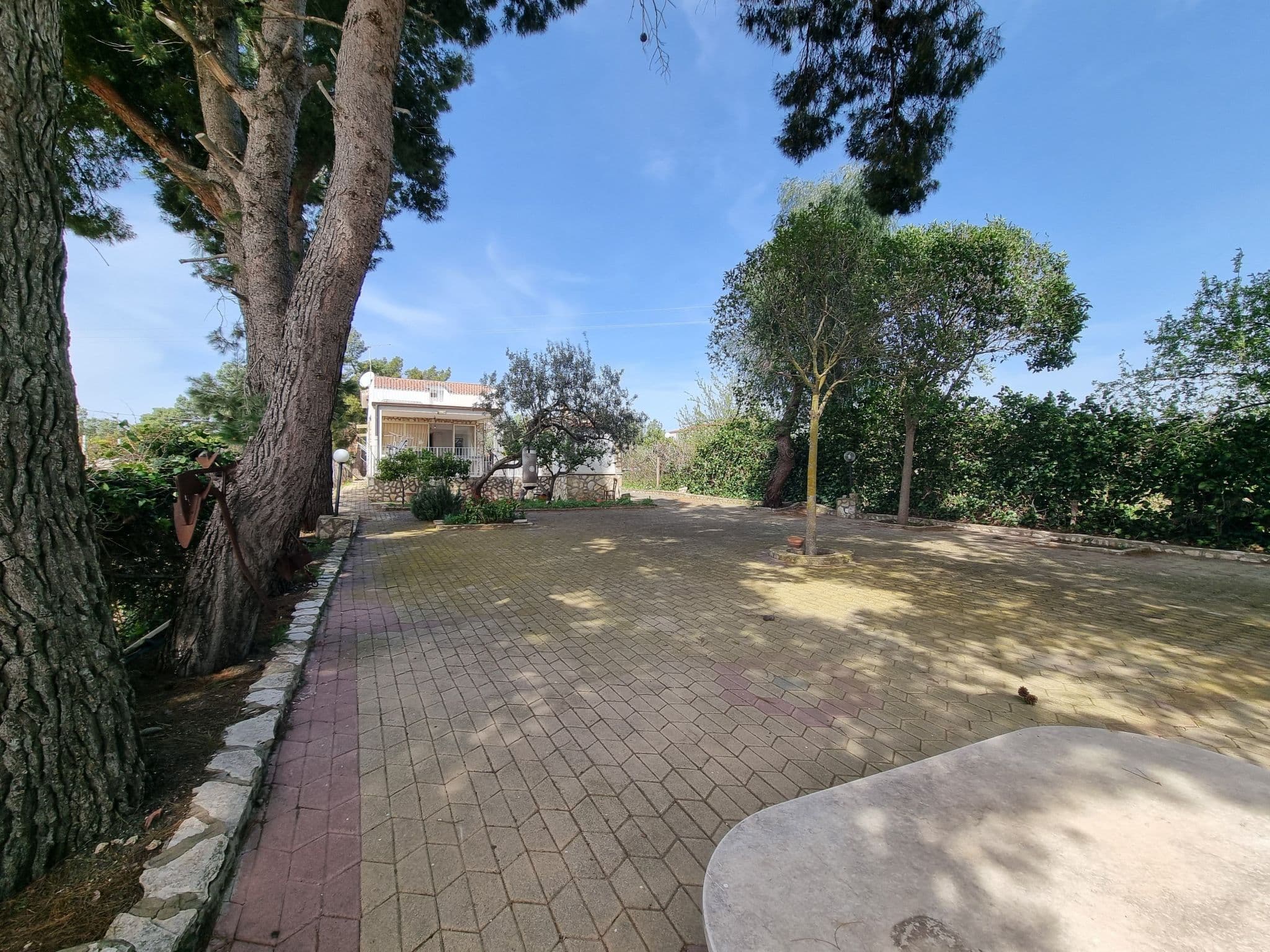 Gallery Image 35