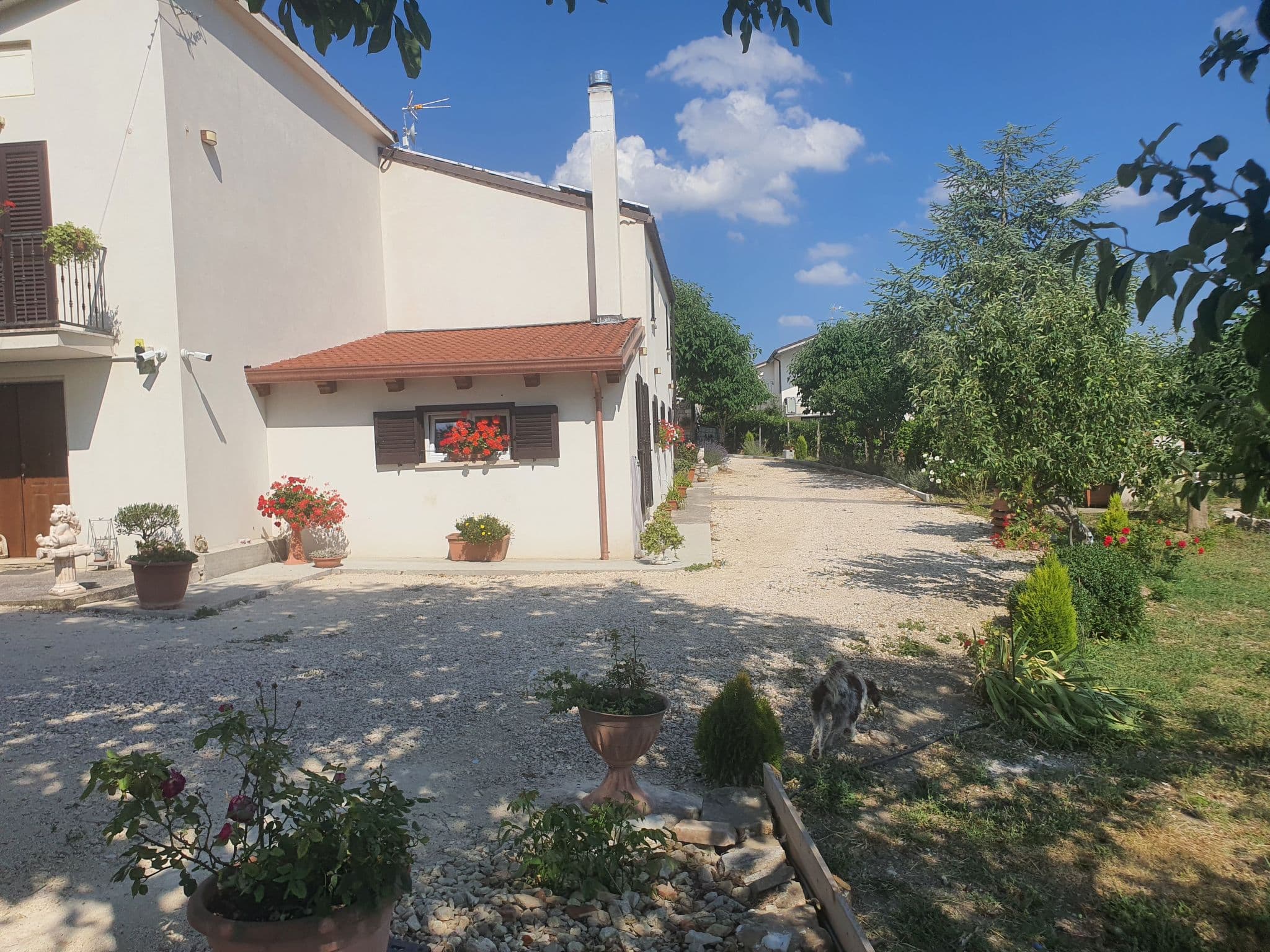 Gallery Image 21