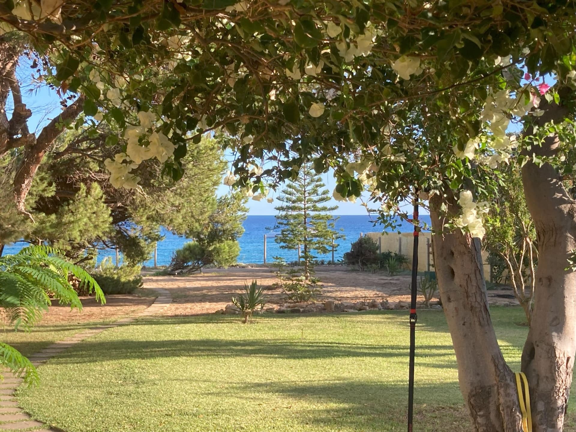 in Vila Baleira mit Garten