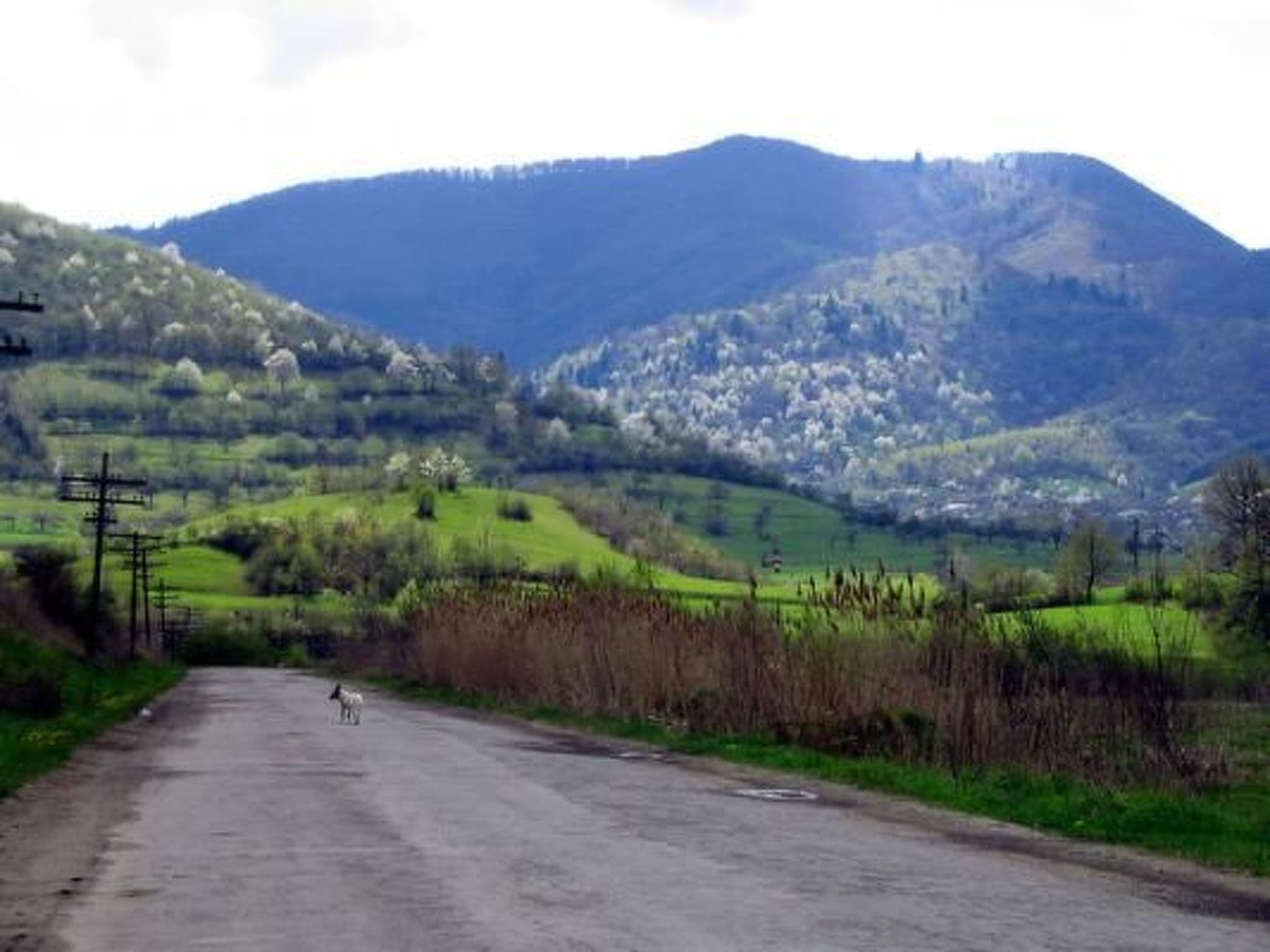 View