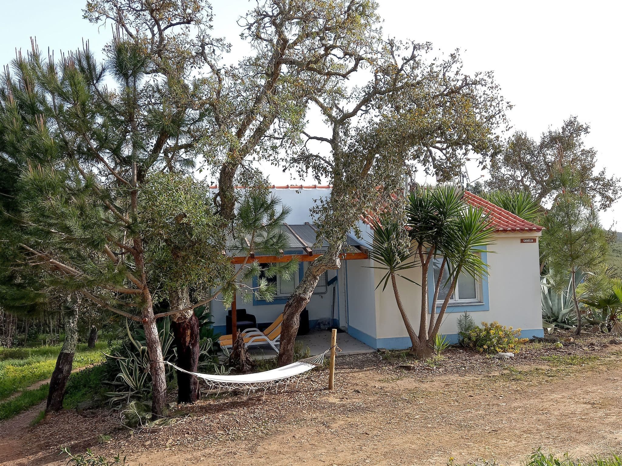 Gallery Image 13