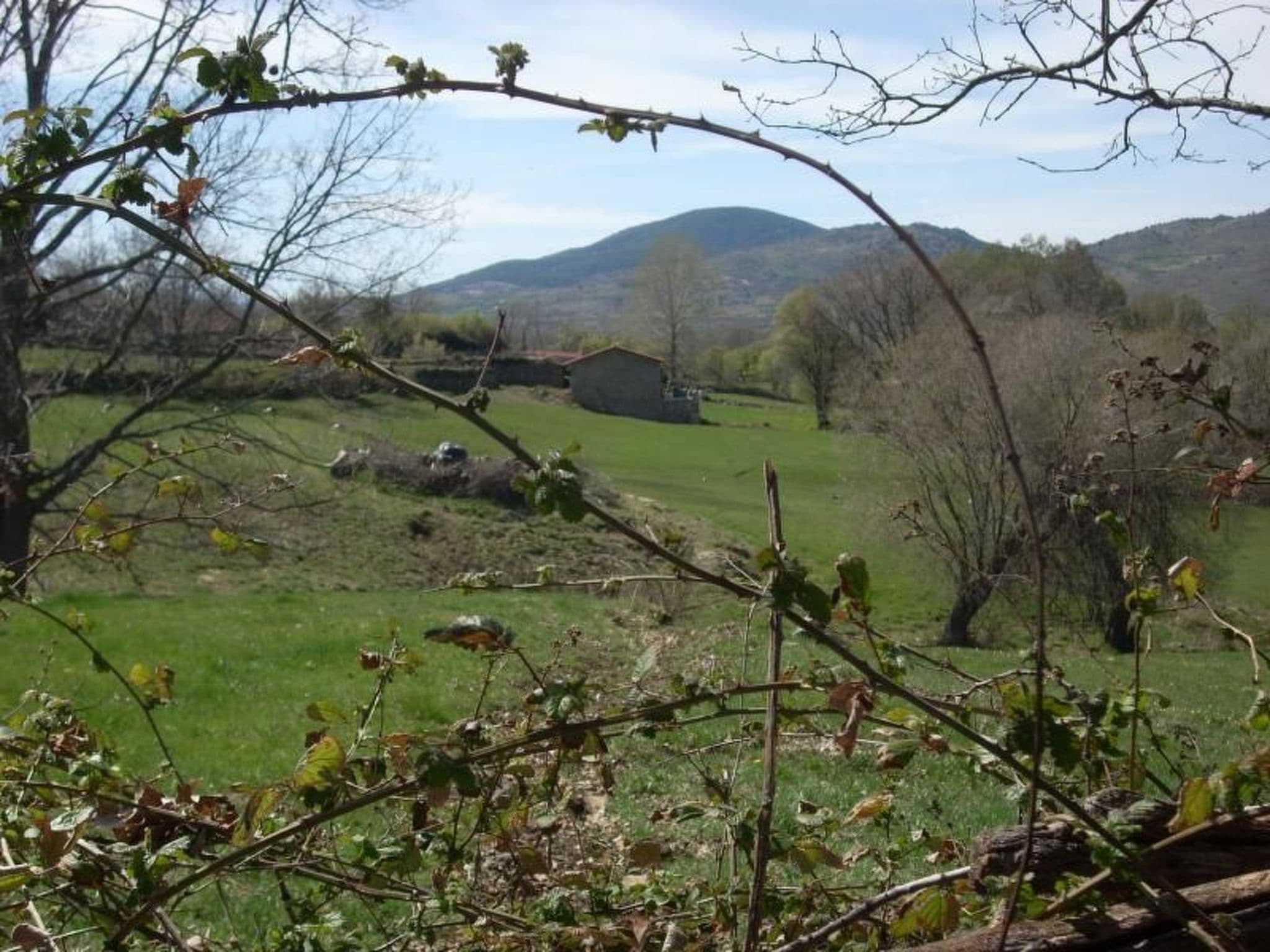 Gallery Image 19