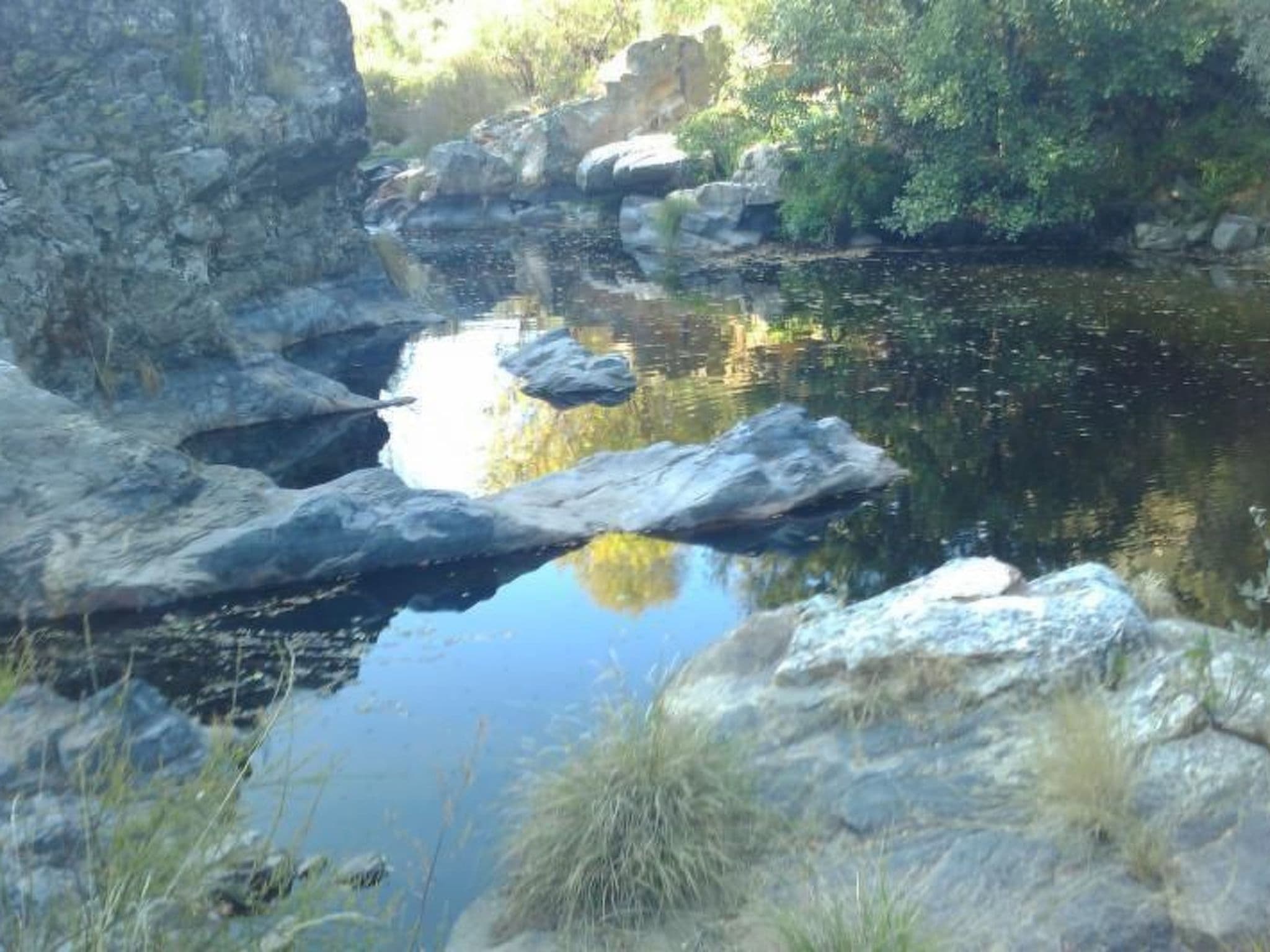 Gallery Image 14