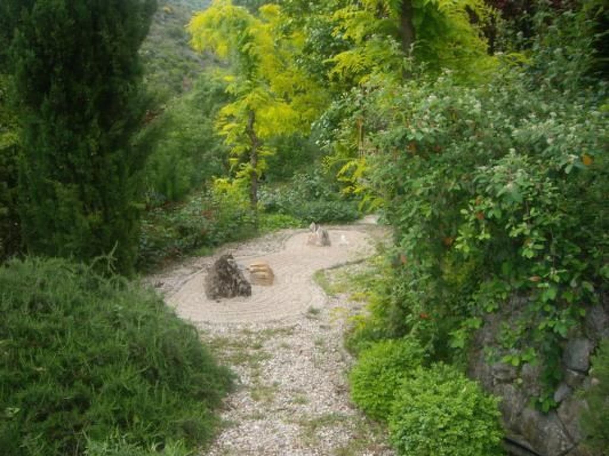 Gallery Image 10