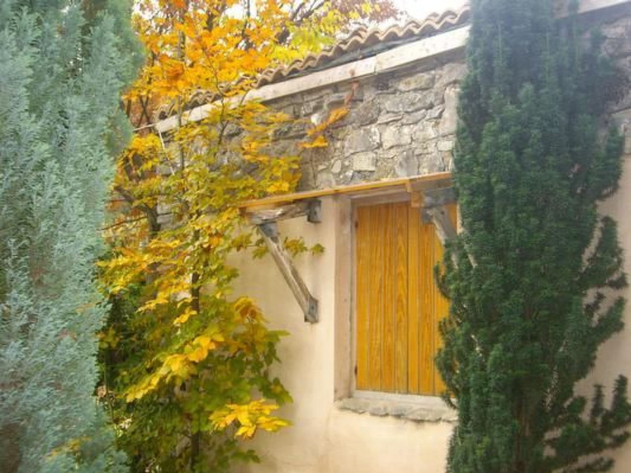 Gallery Image 23