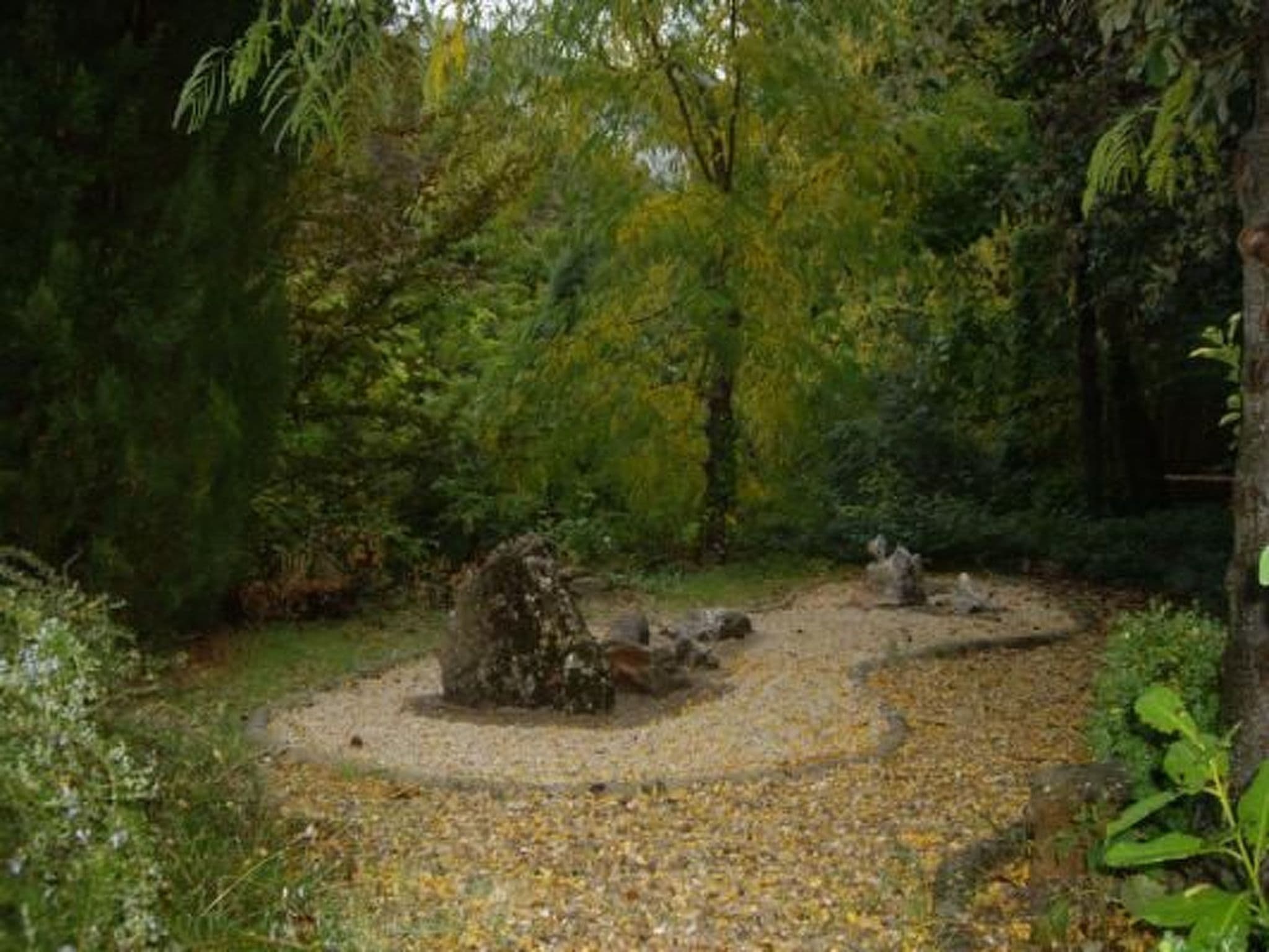 Gallery Image 25