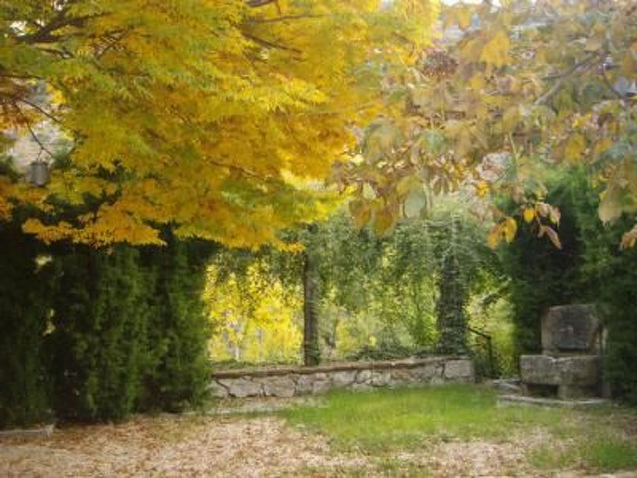 Gallery Image 32