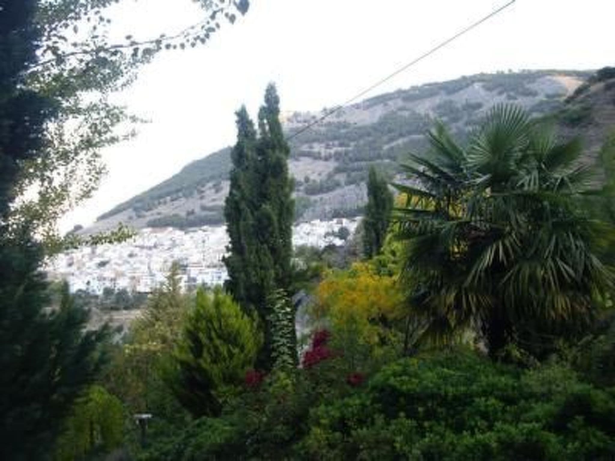 Gallery Image 35