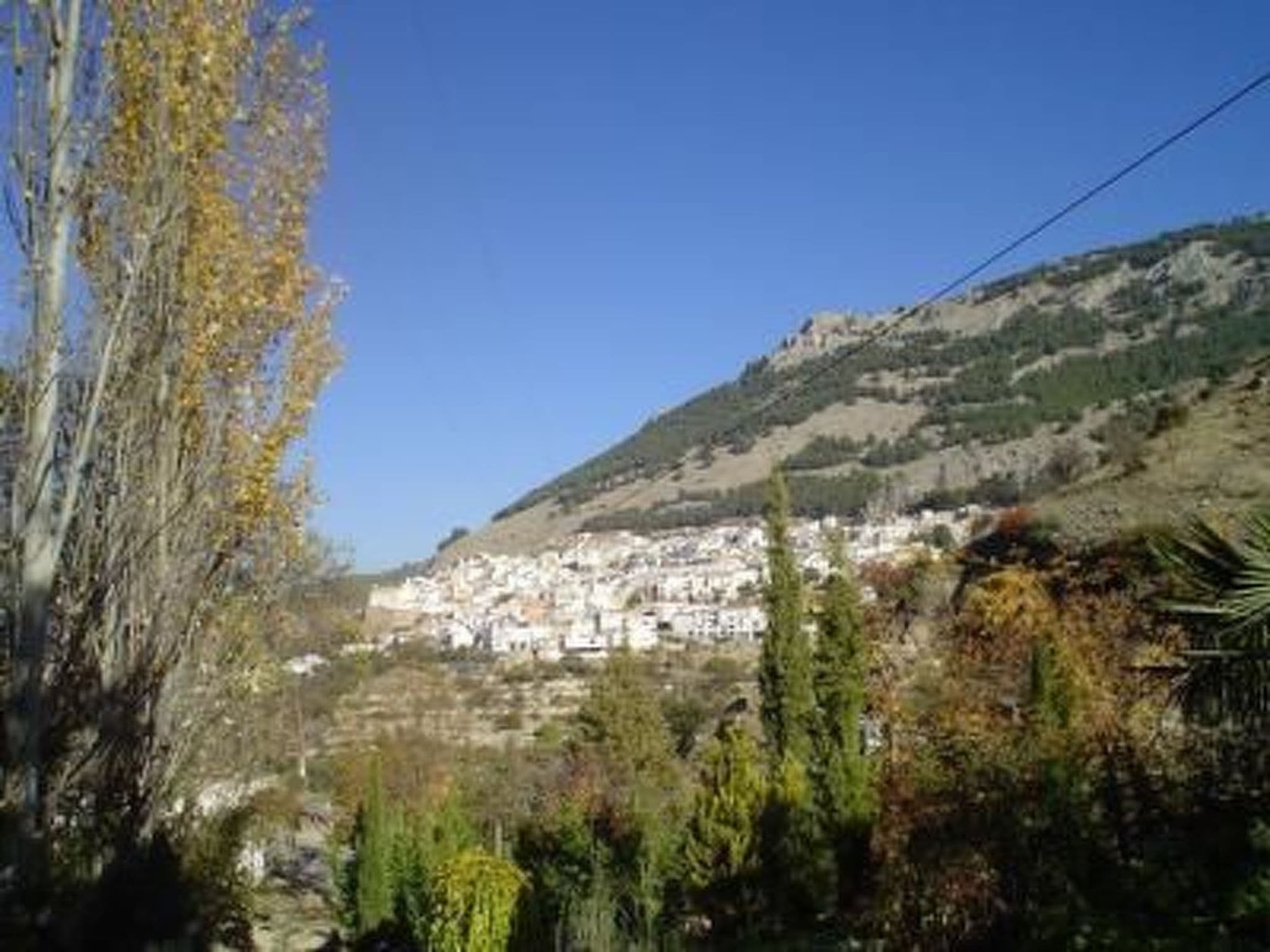 Gallery Image 43