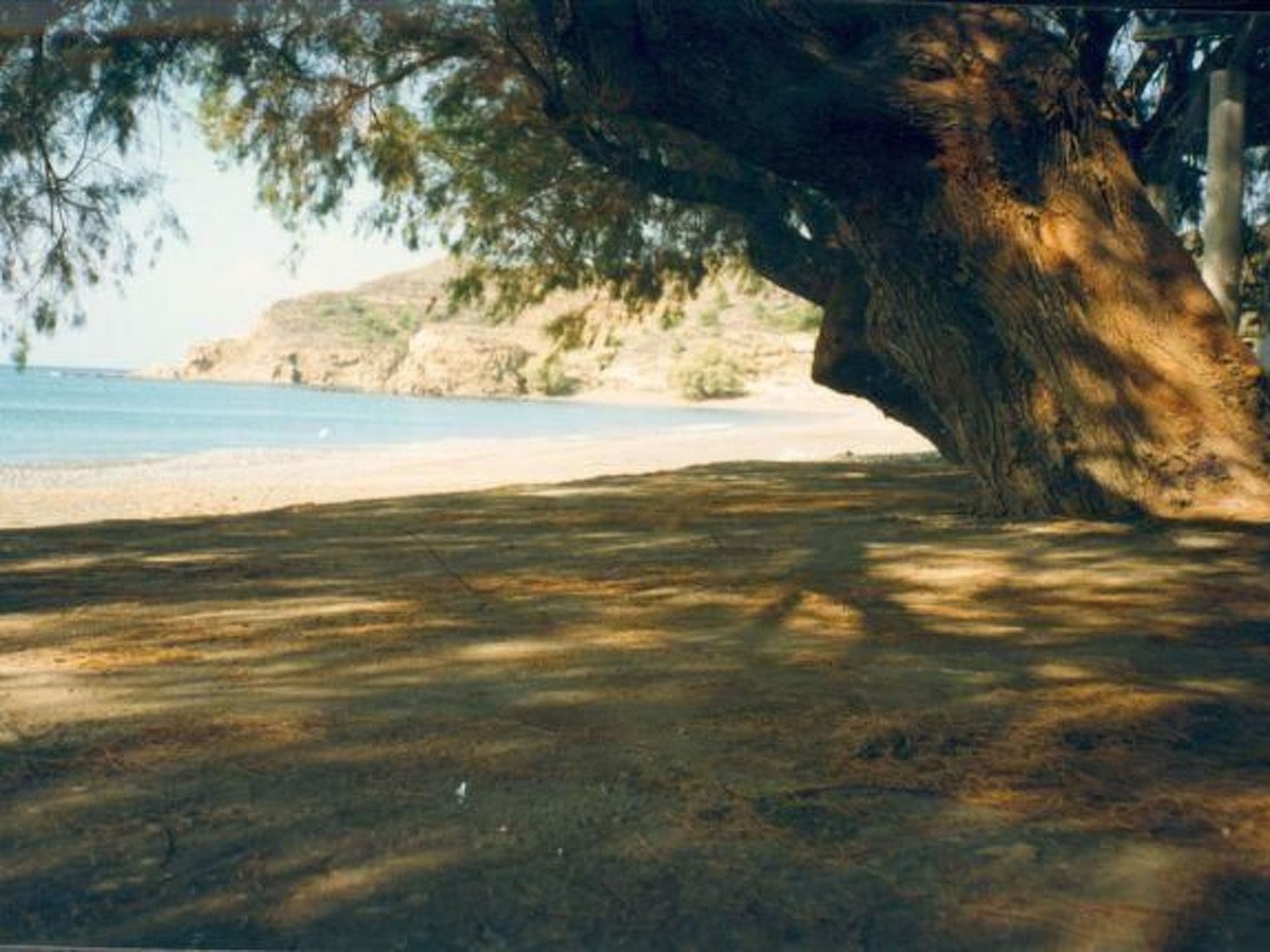 Gallery Image 21