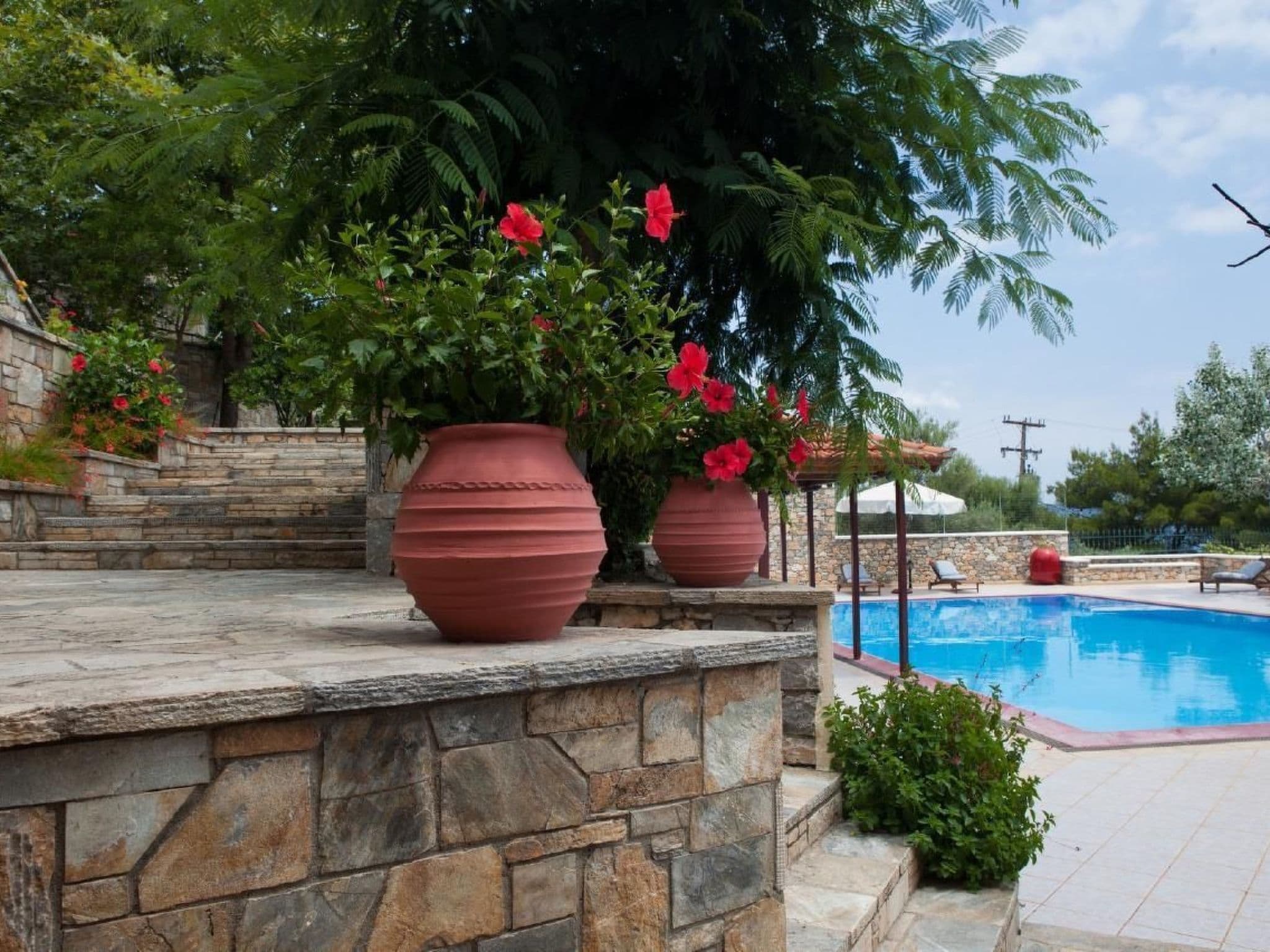 Pool Outdoor