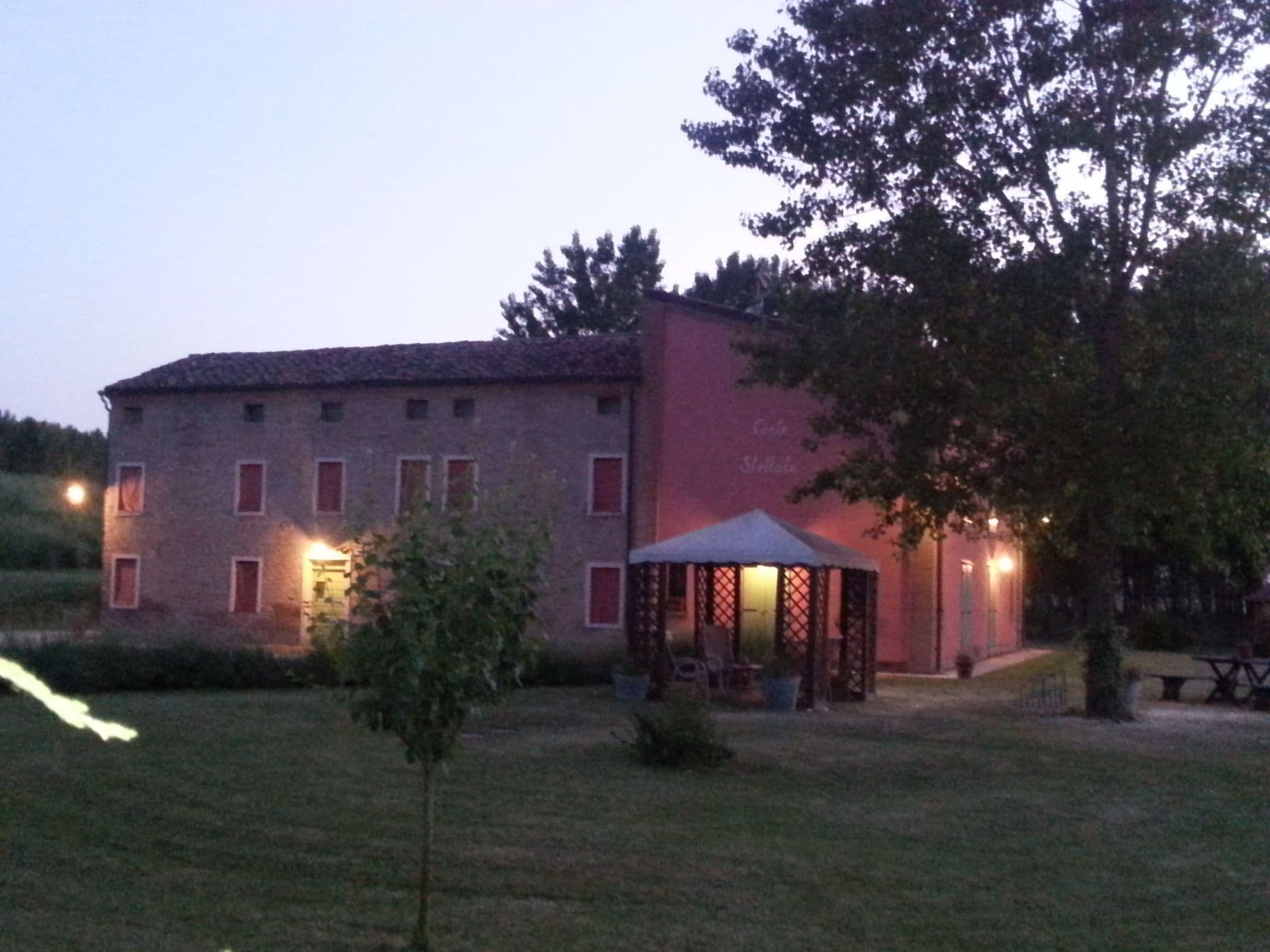 Gallery Image 7