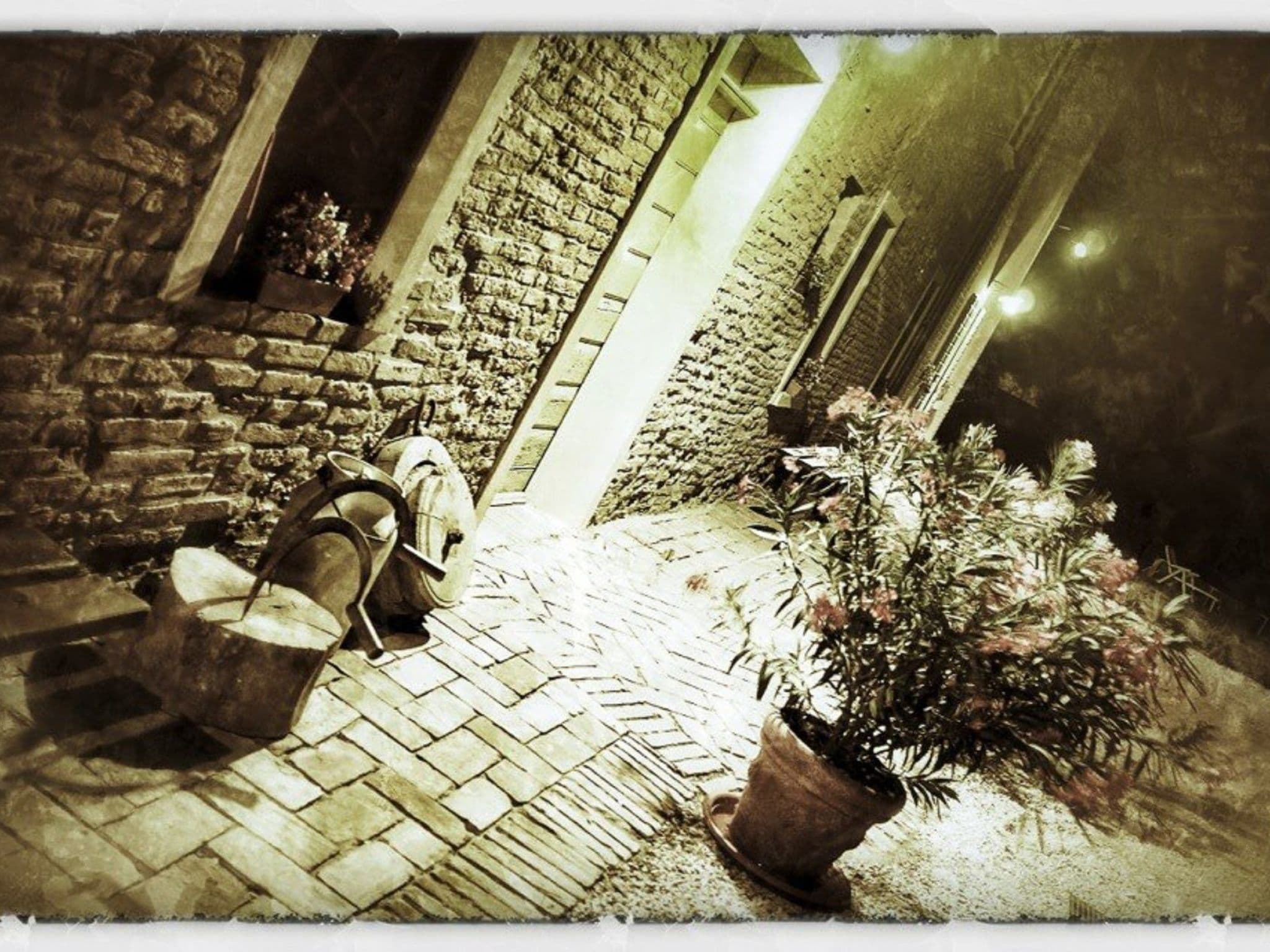 Gallery Image 9