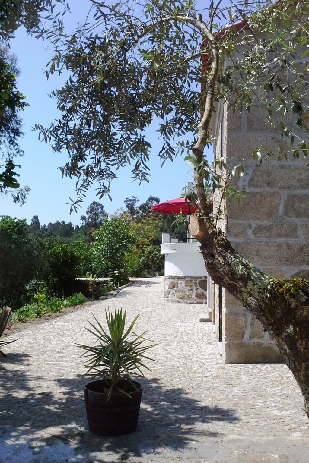 Gallery Image 12