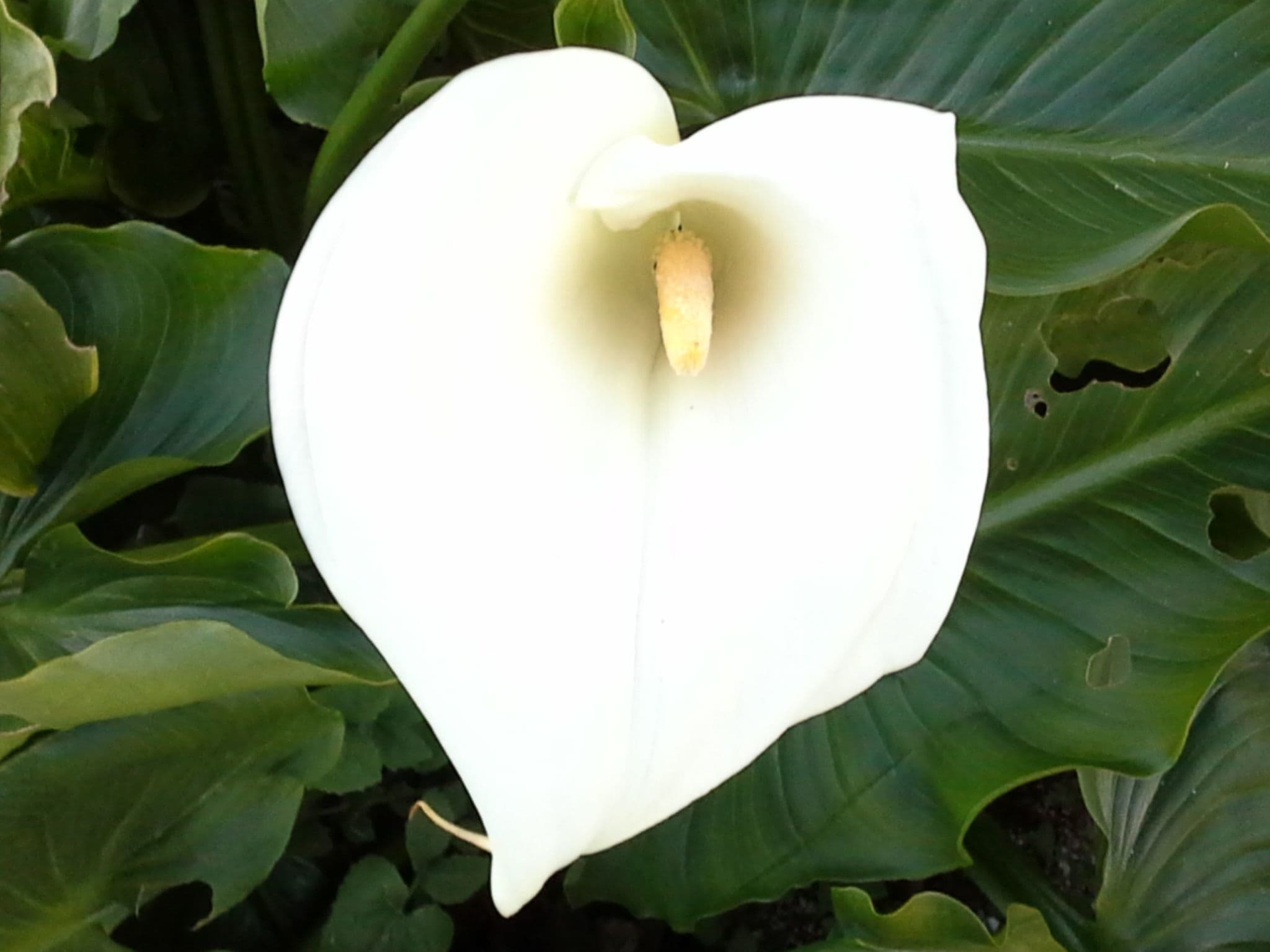 Gallery Image 30
