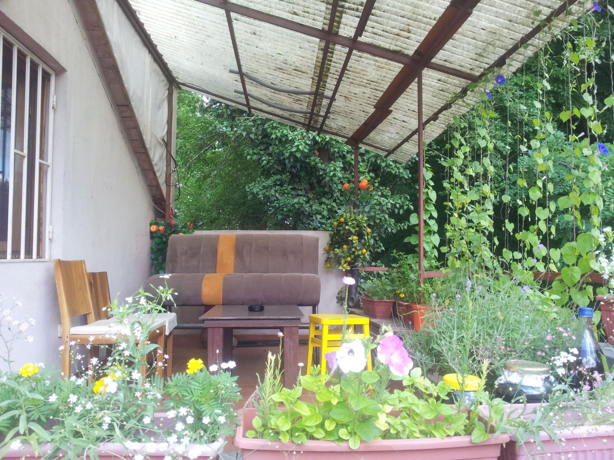 Gallery Image 9