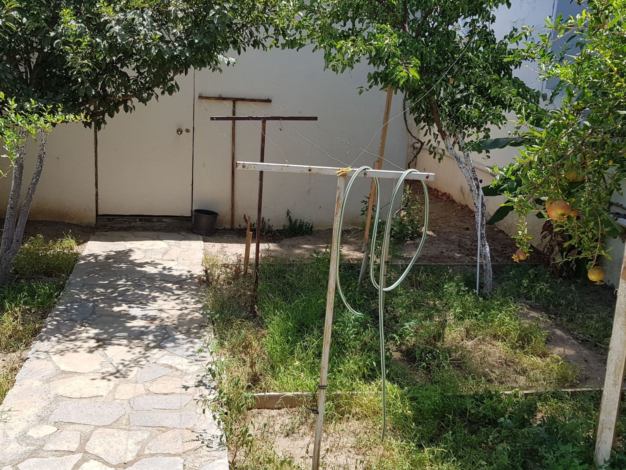 Gallery Image 14