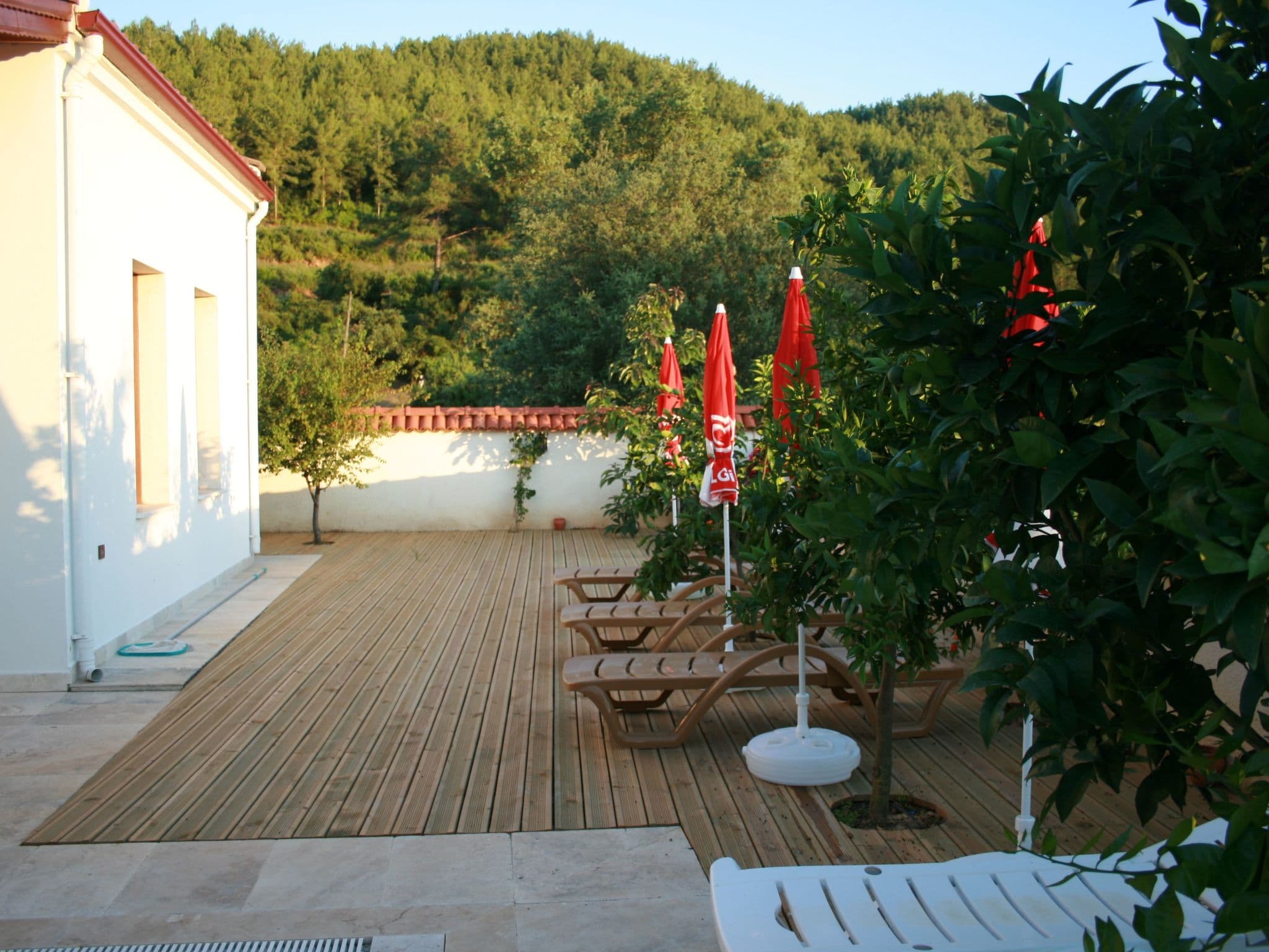 Gallery Image 9