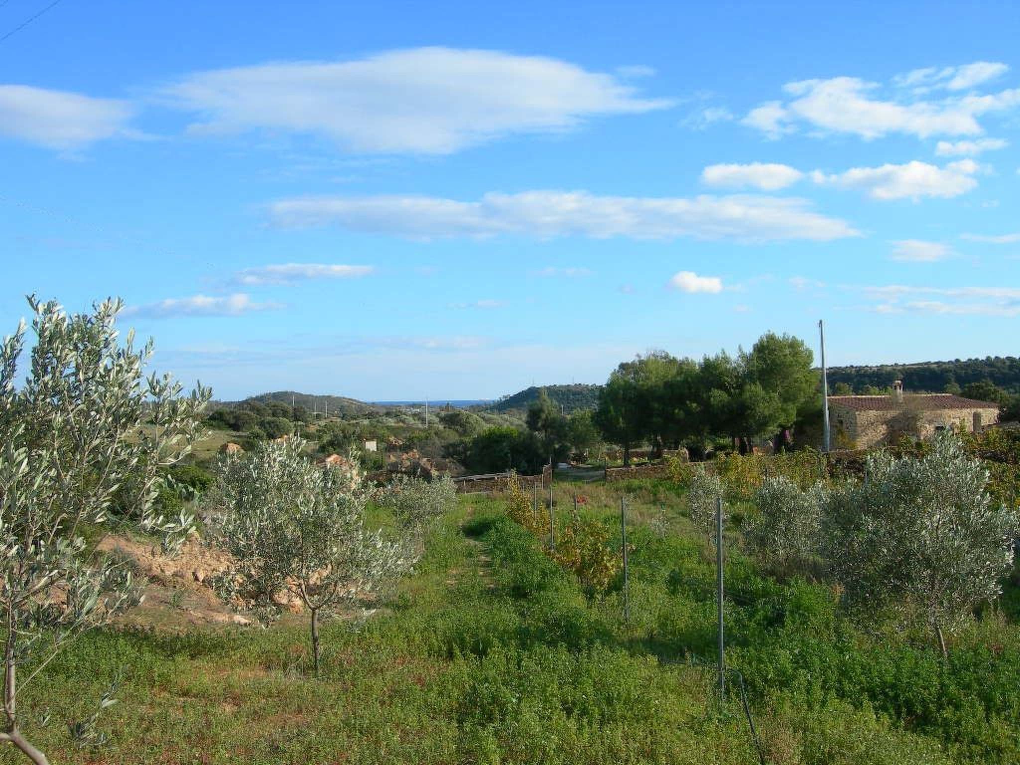 Gallery Image 17