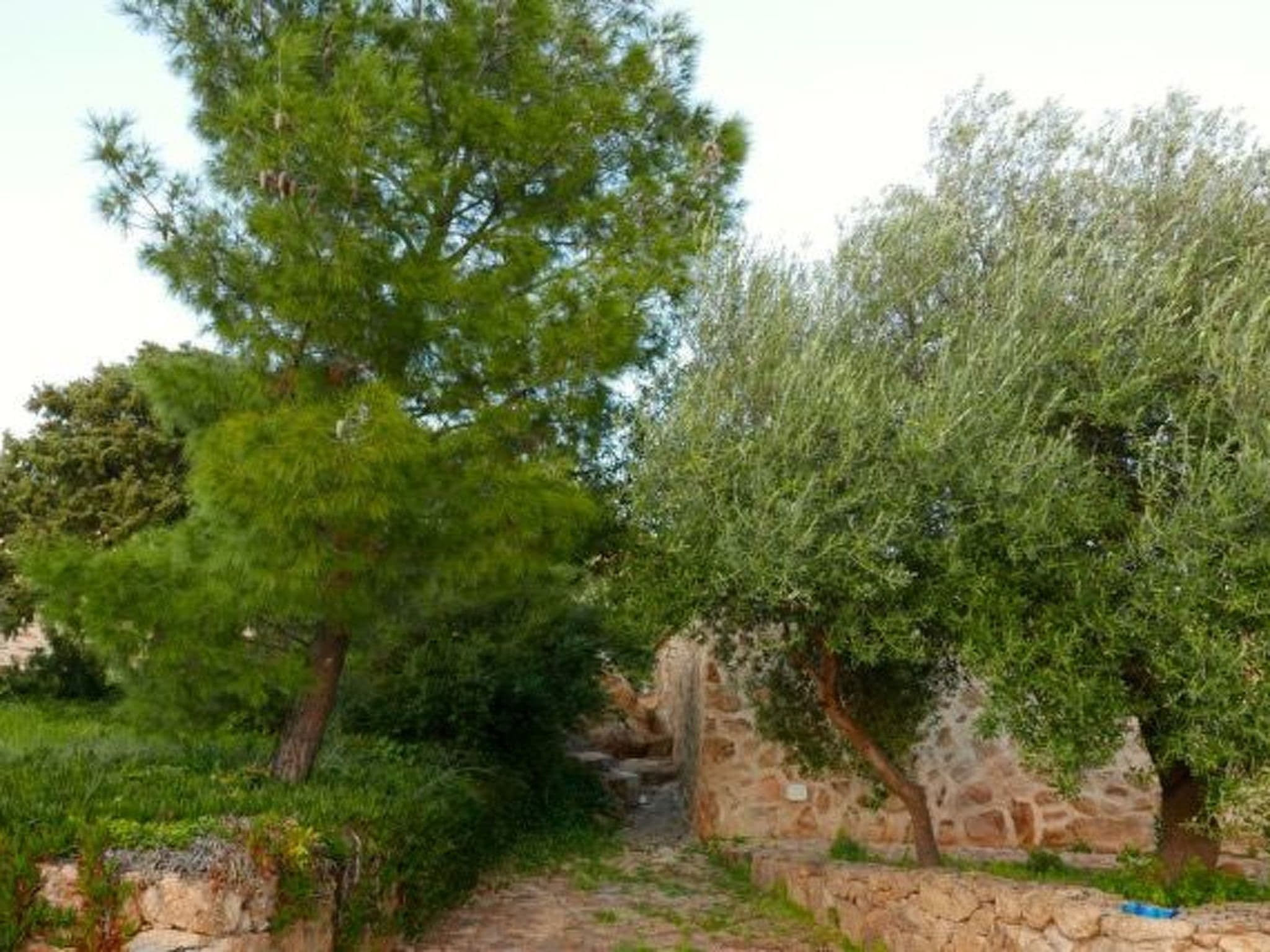 Gallery Image 25