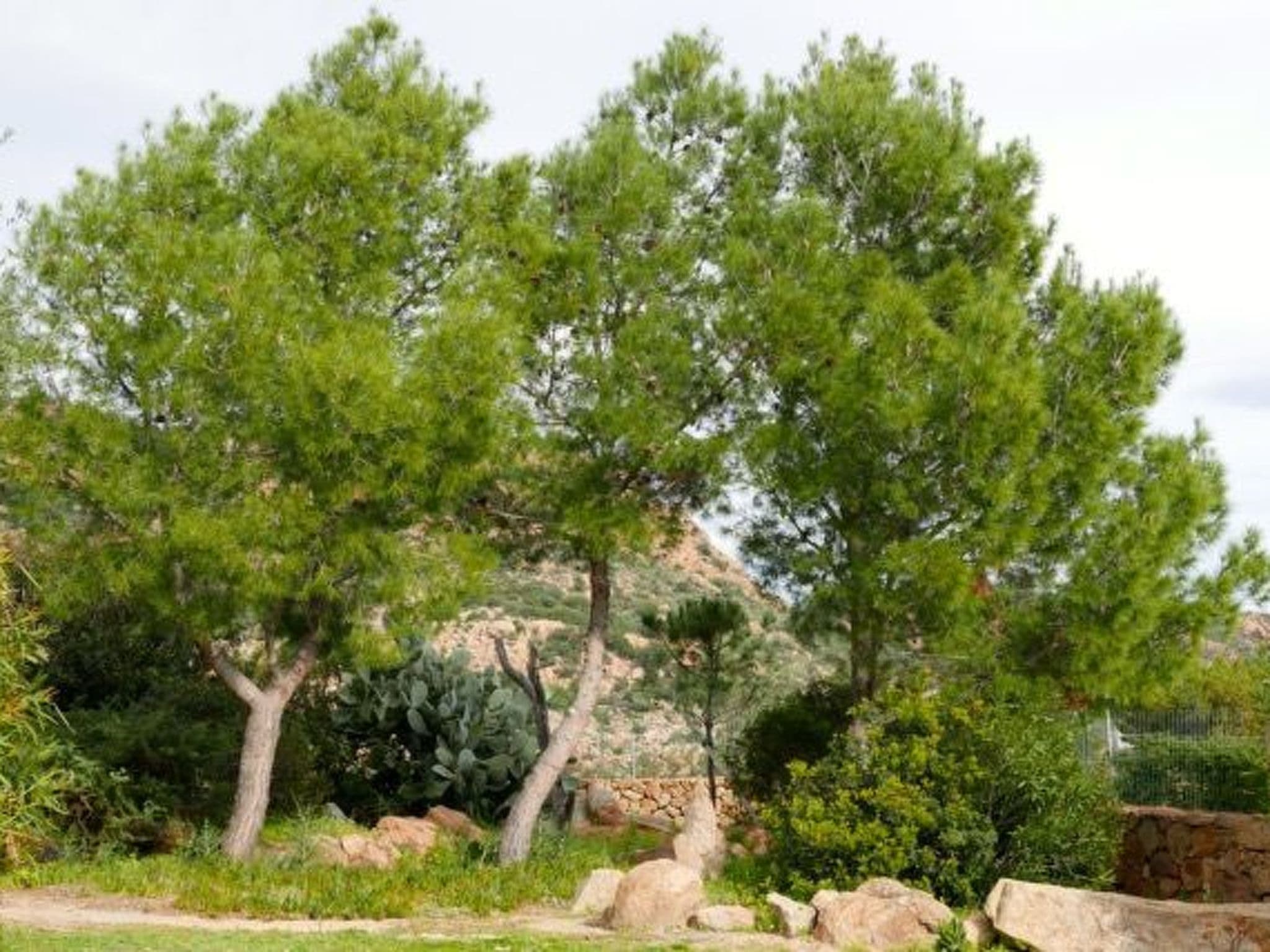 Gallery Image 30
