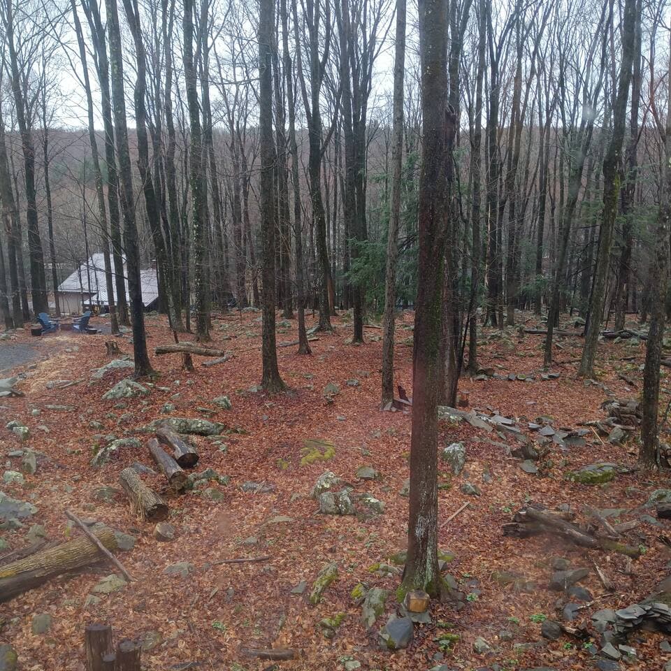 backwoods charm help yourself to one of two fire pits on the premises