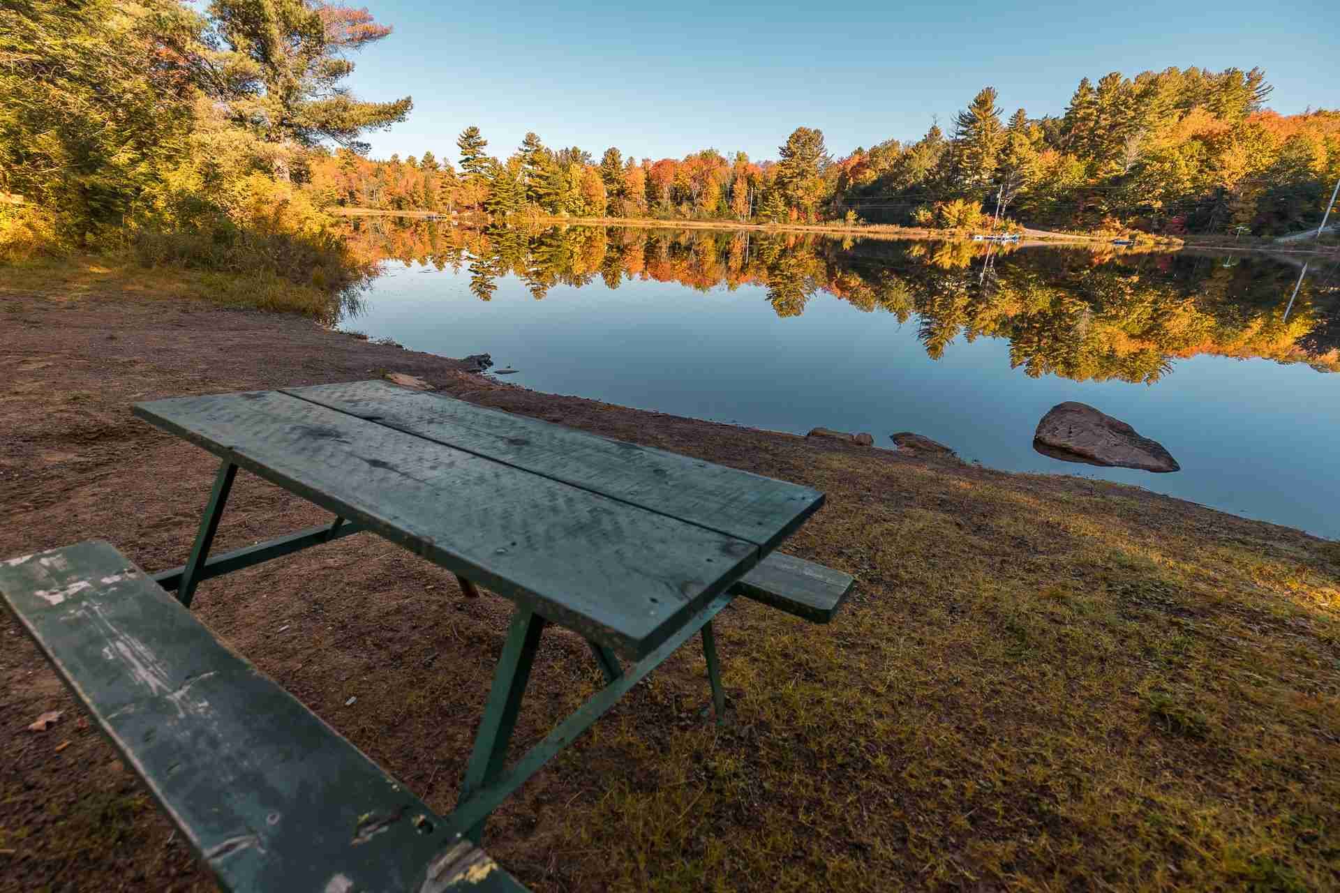 [Lake] Family picnic