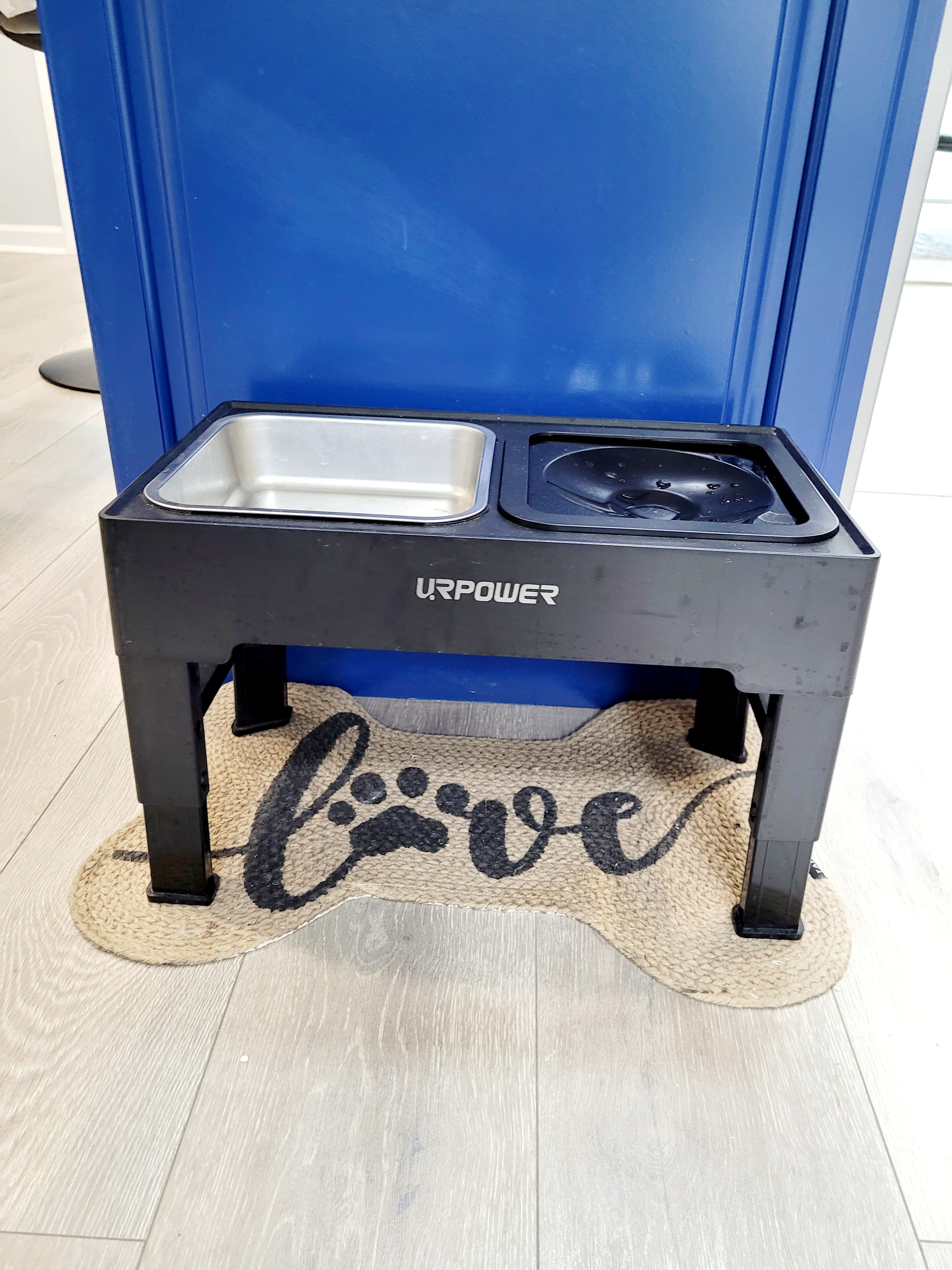 No splash, elevated dog bowls