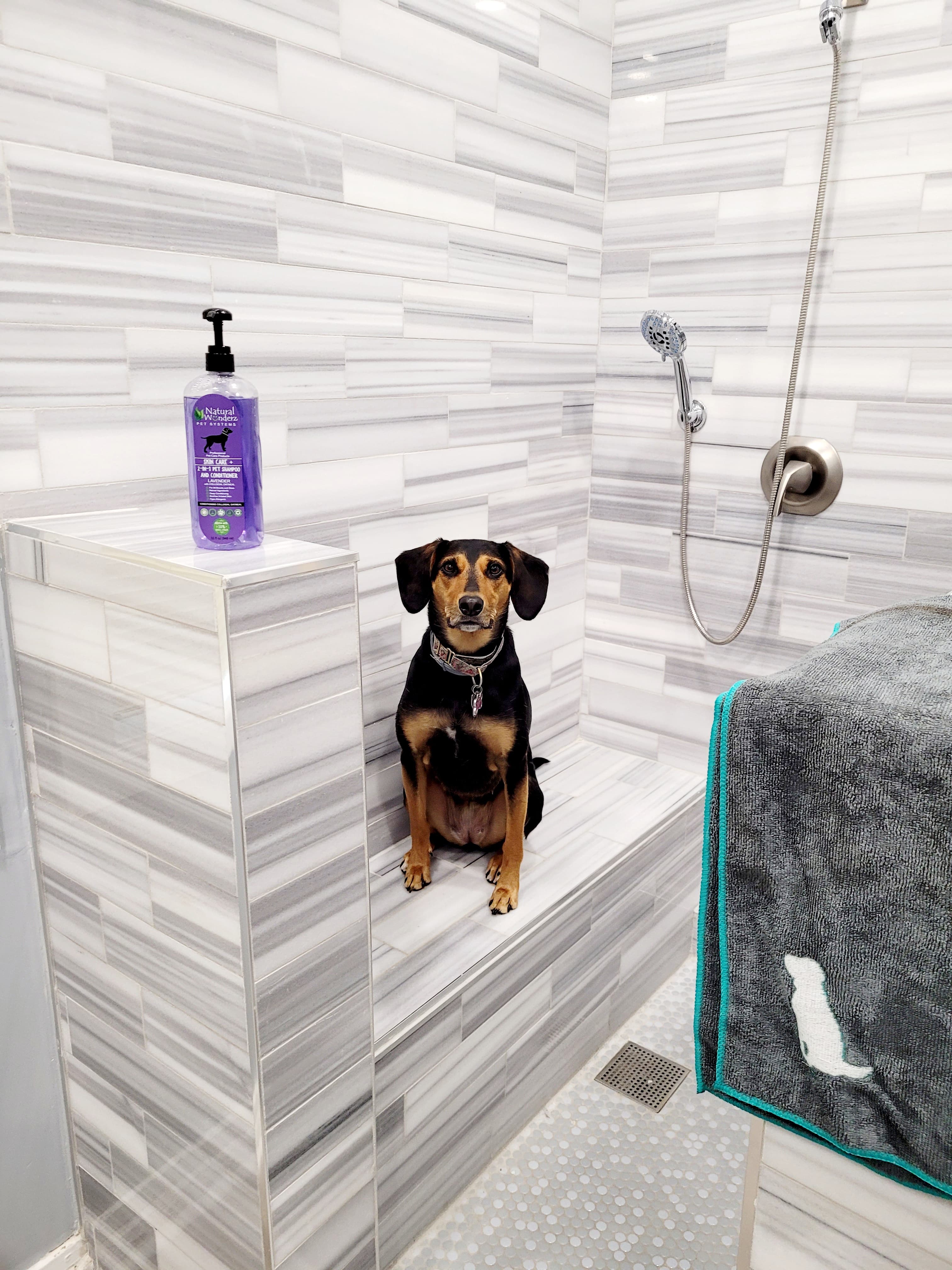 Dog shower in the garage