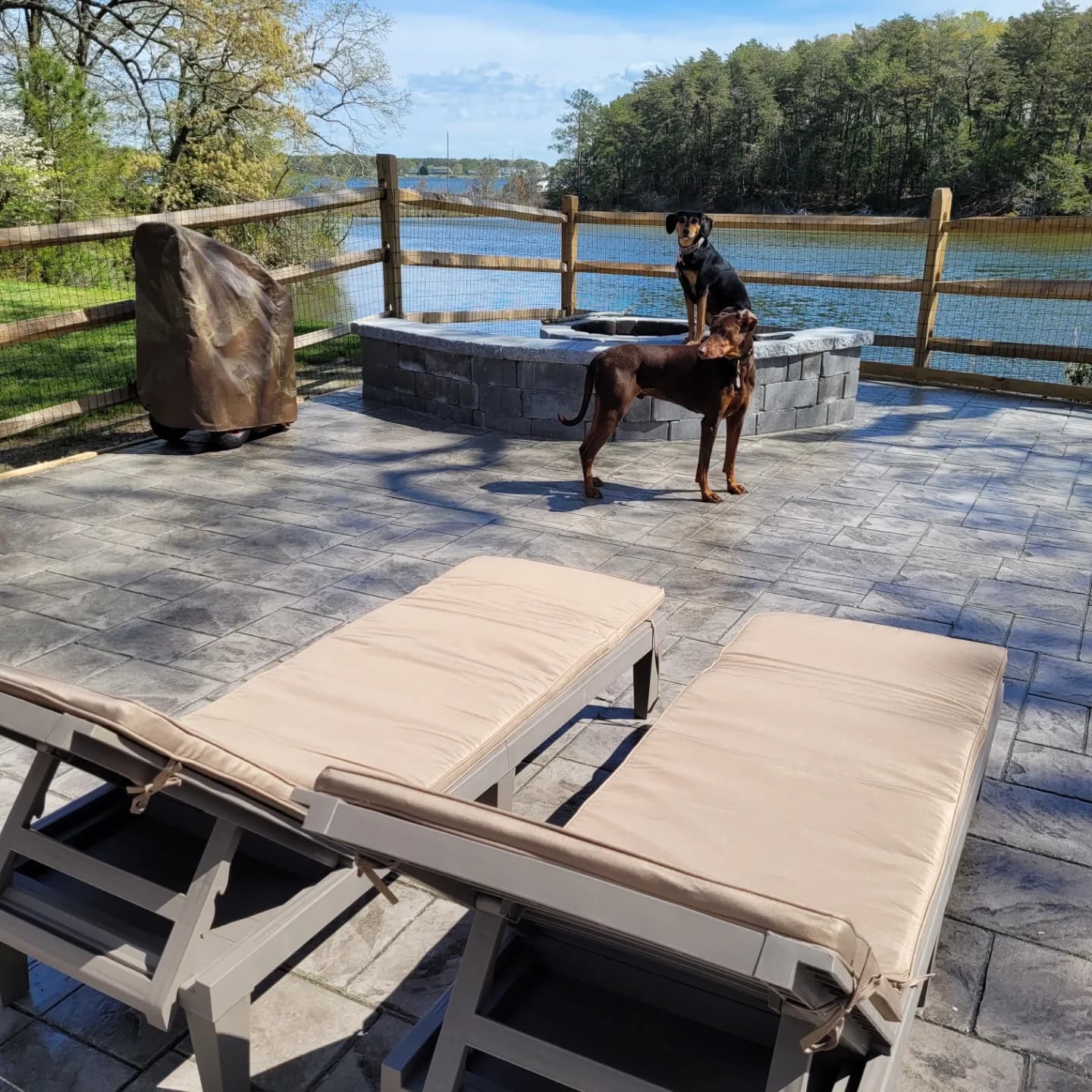 Lounge chairs on the patio