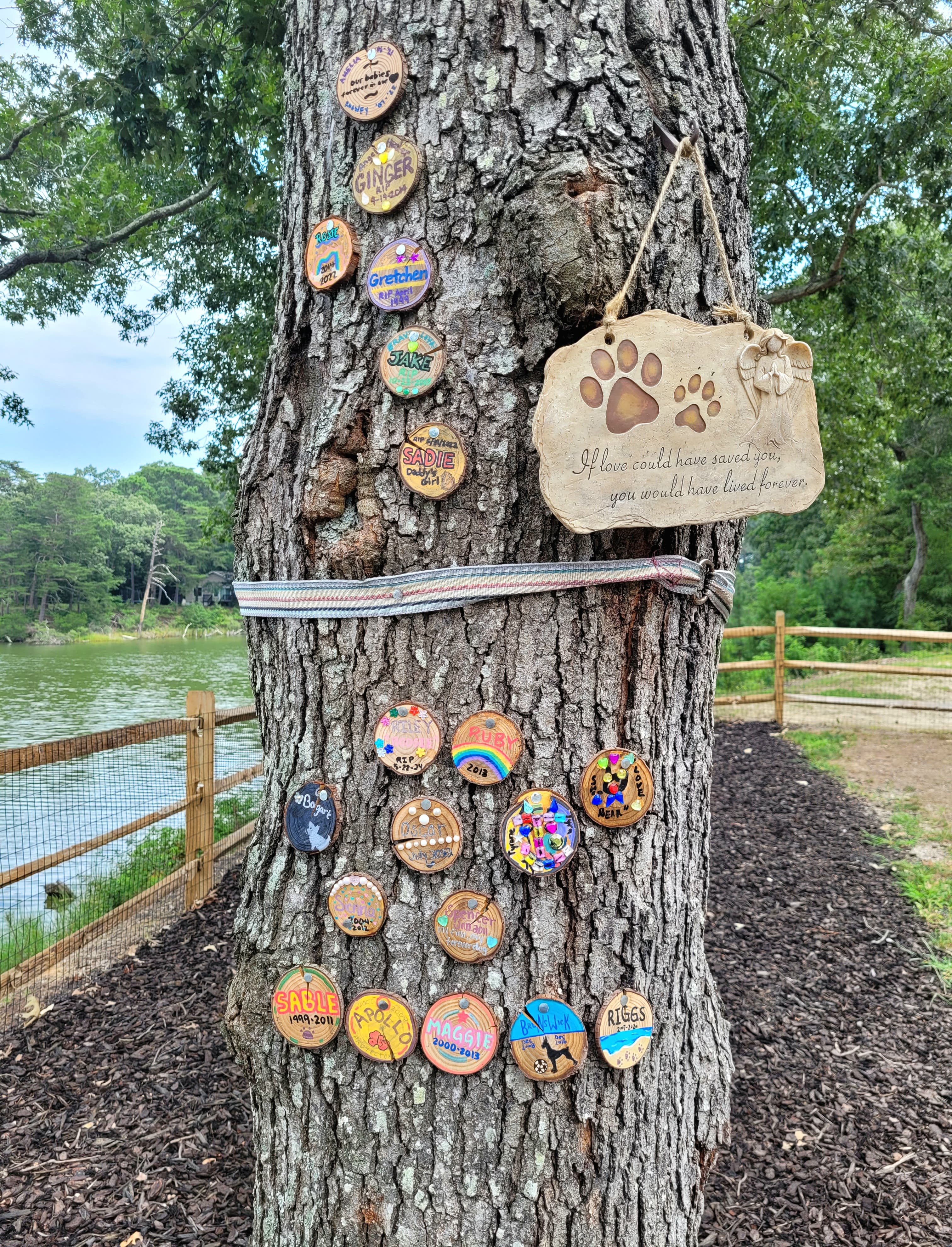 Dog memorial tree. Create a remembrance tag for beloved dog using provided supplies.