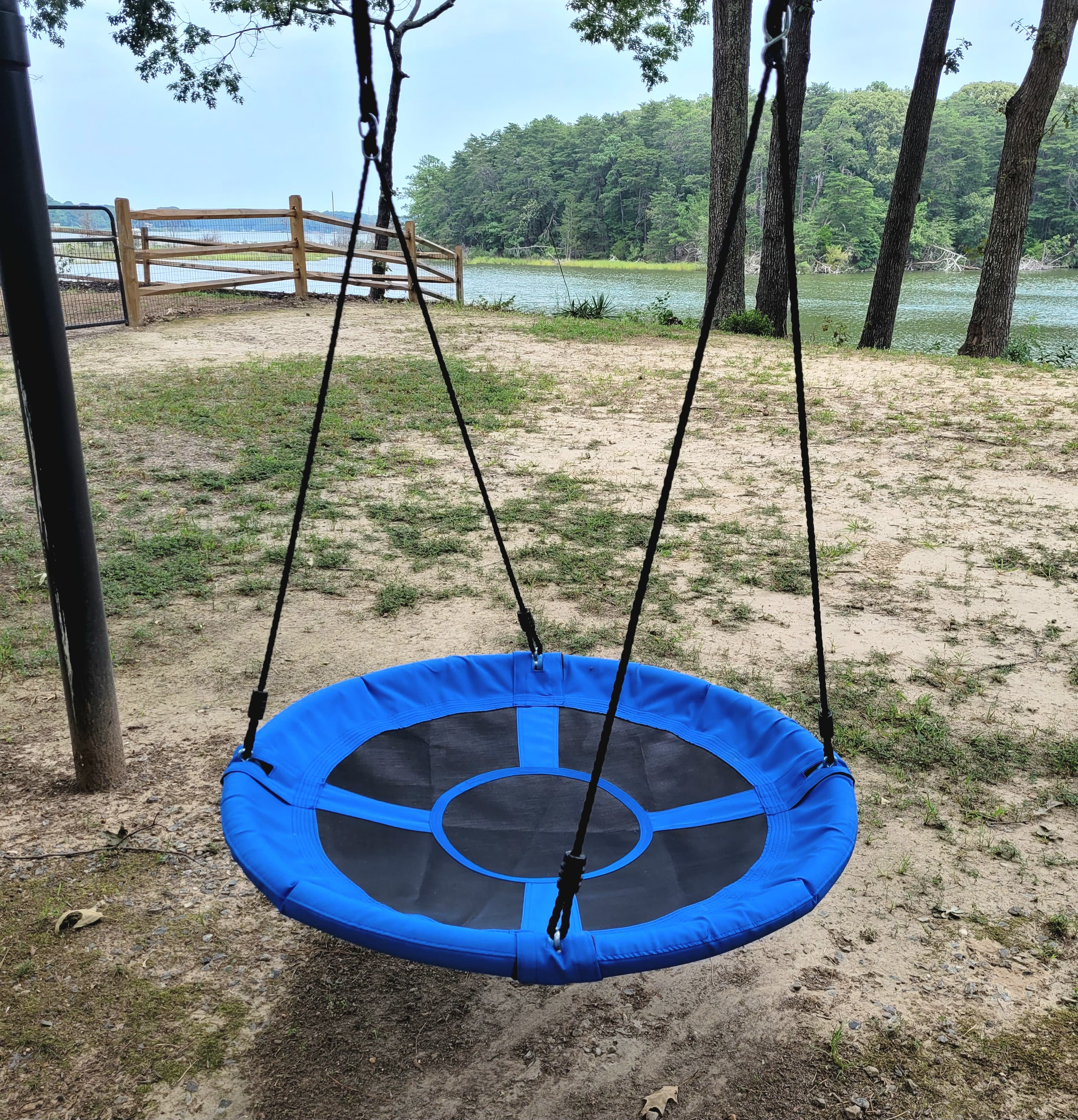 Swing