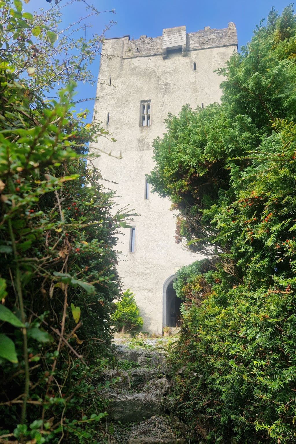 Gallery Image 39