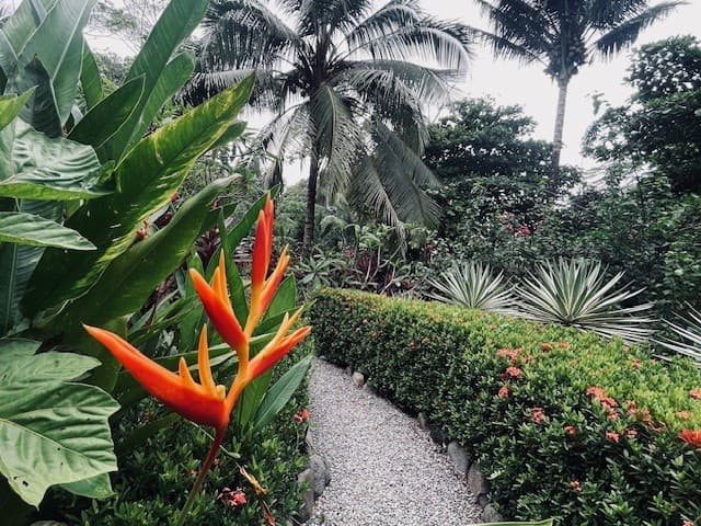 Amazing gardens at Casitas Del Rio
