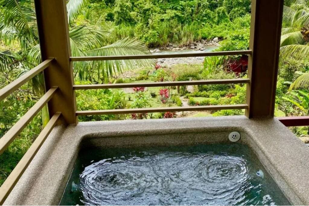 Jacuzzi Pool on the covered deck overlooking the river and gardens