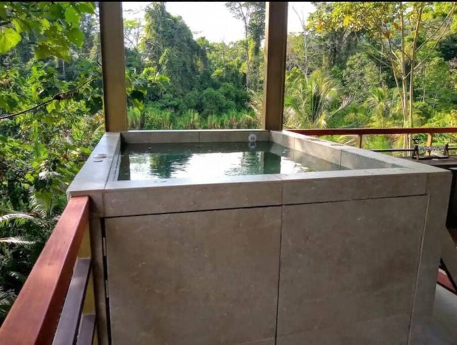 Private jacuzzi pool overlooking the river and gardens