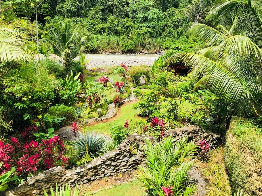 View of our tropical gardens and flowers