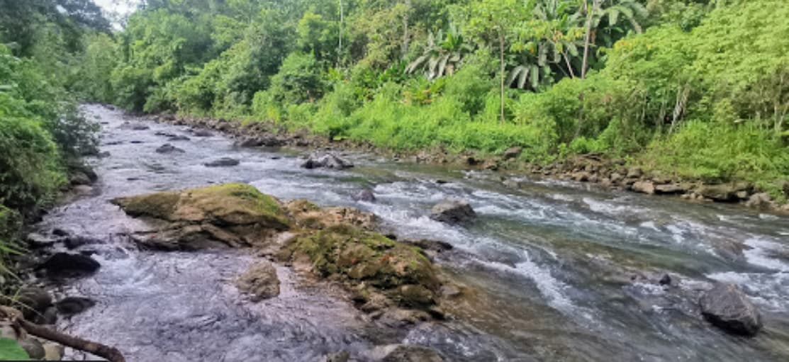 Places to stay in Uvita Costa Rica Casitas Del Rio Riverfront Eco Lodge private homes and things to 