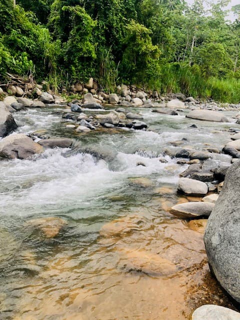 Places to stay in Uvita Costa Rica Casitas Del Rio Riverfront Eco Lodge private homes and things to 