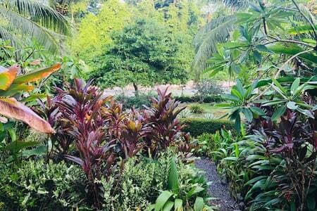 Elaborate nature trails at our boutique hotel