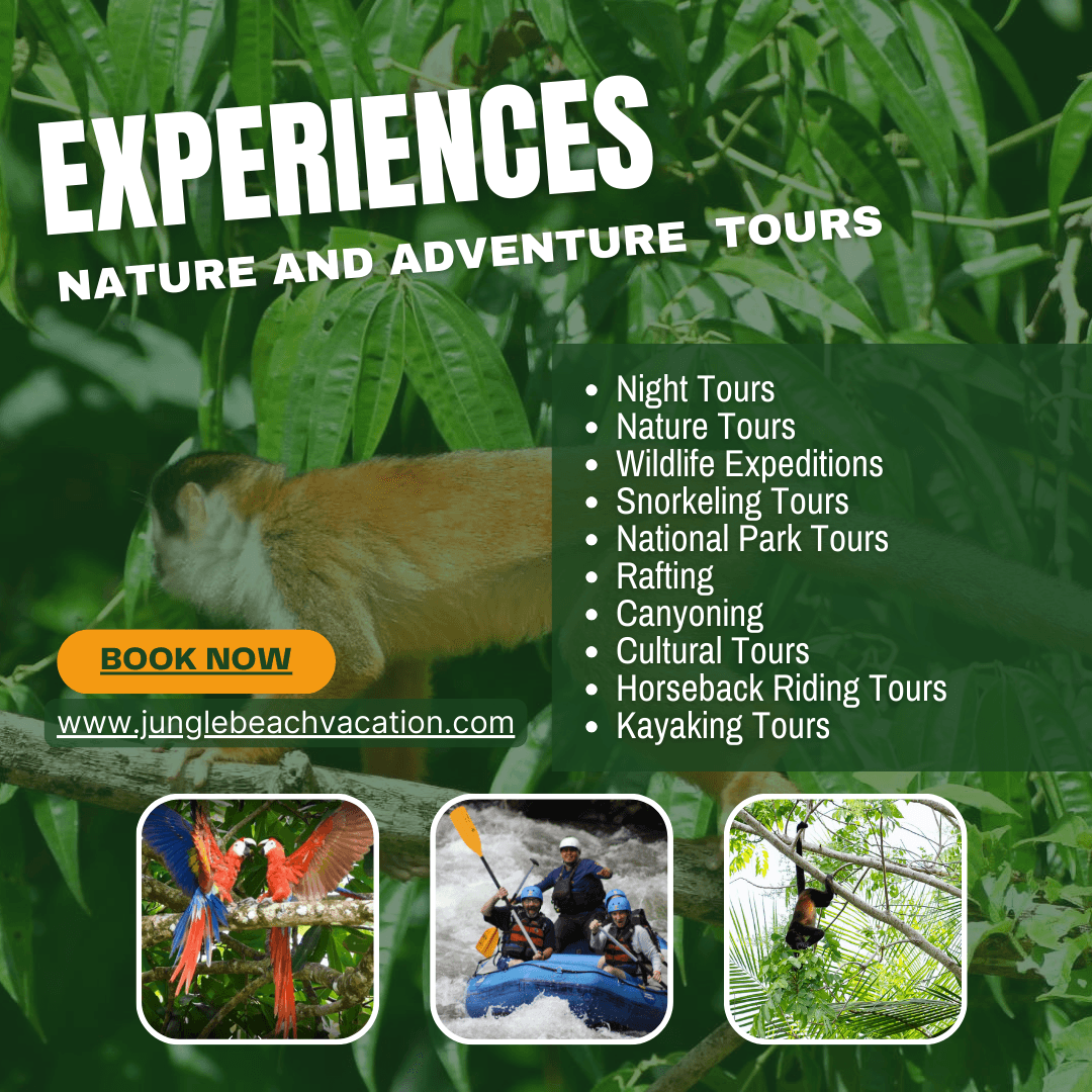 Nature and Adventure