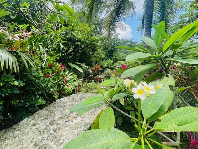 Places to stay in Uvita Costa Rica lodging in Uvita hotels amazing garden and nature paths