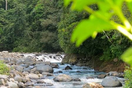 Magical Vacation Villas in our nature lodge