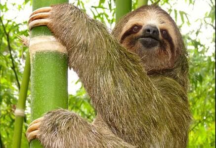 We can also book nature tours for you!