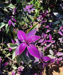 Explore our nature paths at our boutique hotel