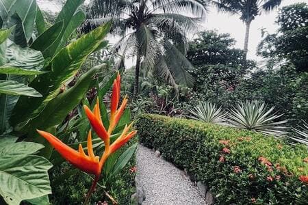 Perfect place to stay in Uvita for nature lovers!