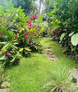 A romantic vacation in Costa Rica